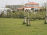 Camping de Kolibrie [kopie]
